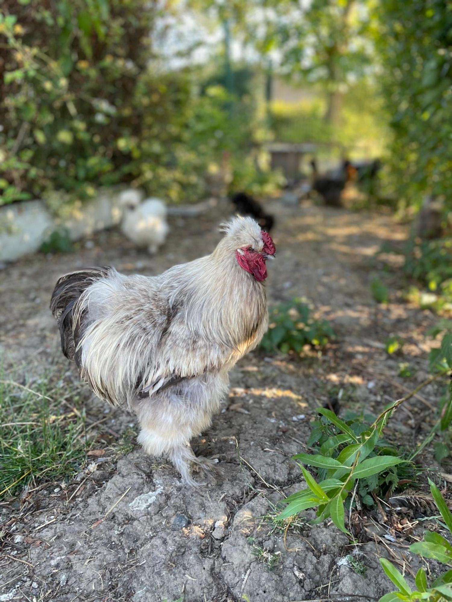 La Ferme Du Paradis Merris 외부 사진